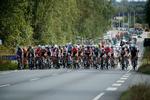 Foto: Jens Dresling