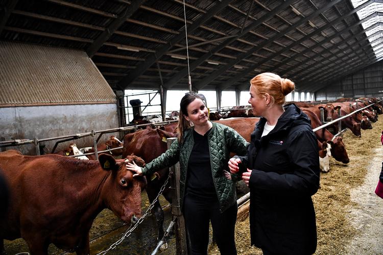 Foto: Ernst van Norde