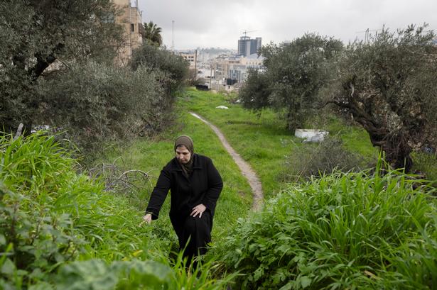 Foto: Thomas Borberg