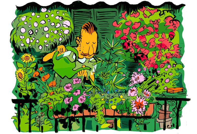 Den tyske Forbundsdag legaliserer fra 1. april dyrkning og besiddelse af cannabis for at komme det kriminelle marked til livs og afkriminalisere brugerne.  Tegning Claus Nørregaard