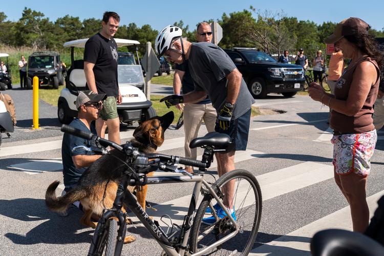 USA's præsident, Joe Biden, taler til sin hund, Commander, under en cykeltur i Delaware i 2022. Schæferhunden har voldt store problemer, viser interne dokumenter. Foto: Manuel Balce Ceneta/Ritzau Scanpix