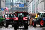 Vrede landmænd fotograferet foran Europa-Parlamentet i Bruxelles i går.  Foto: John Thys/Ritzau Scanpix