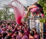 Omkring 6.000 mennesker deltog sidste sommer i den traditionelle vinfest i landsbyen Halo i Rioja, hvor de kastede omkring 30.000 liter vin på hinanden.  Arkivfoto Fernando Díaz