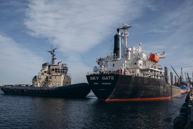 Skibet MV Sky Gate blev for få uger siden læsset med 25.000 tons hvede under stor militærbevogtning. Det var den første forsendelse på den nye rute. Foto: Ukraines regering