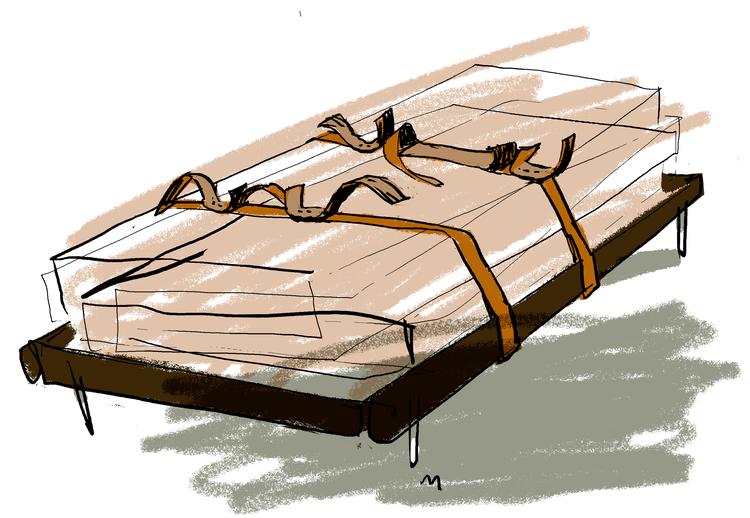 Foto: Mette Dreyer/Politiken-Tegning