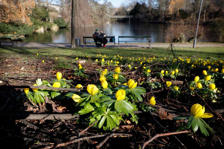 Arkivfoto Jens Dresling 