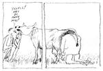 Tegning 