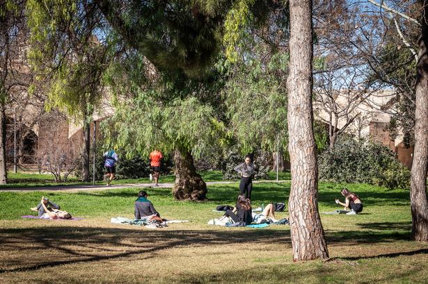Valencias borgere kan holde sig i form i grønne omgivelser, og Turia-haverne er ideelle til mange typer motion. Foto: Hanne Olsen