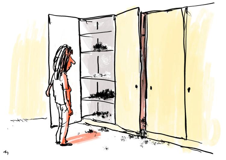 Foto: Mette Dreyer/POLITIKEN