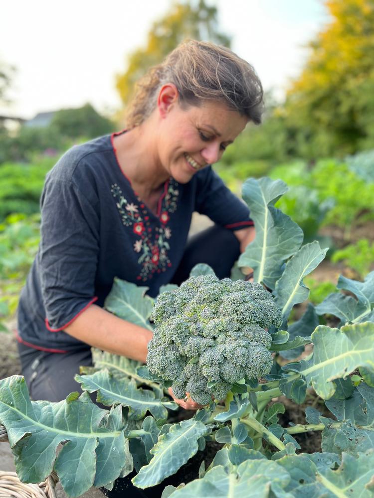 Yen Egebak dyrker grøntsager året rundt, her nogle imponerende broccoli. 