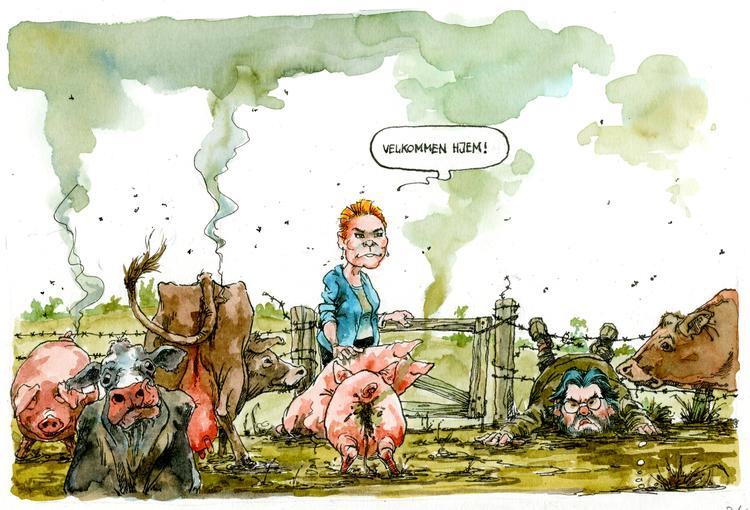 Foto: Roald Als/POLITIKEN