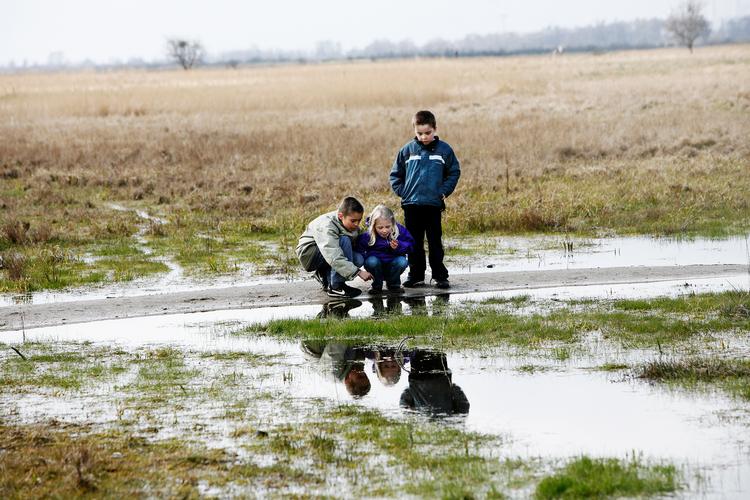 På turen Amager Rundt kommer du forbi Naturpark Amager, der er 10 gange større end Central Park i New York og over dobbelt så stor som Dyrehaven nord for København.  Foto: Thomas Borberg