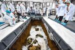 Foto: Imago / Alamy Stock Photo/Ritzau Scanpix