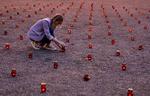 En kvinde tænder lys for de 331, der blev dræbt i 2004, da over 1.300 børn og voksne blev taget som gidsler på en skole i Beslan. Arkivfoto Eduard Korniyenko