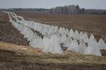 Dragetæner nær Tjernihiv skal forhindre russerne i at bryde igennem den ukrainske frontlinje. Ifølge Polens ministerpræsident, Donald Tusk, er sandsynligheden for, at krigen spreder sig fra Ukraine og længere ind i Europa dog større, end europæerne tror. Foto: Gleb Garanich/Ritzau Scanpix