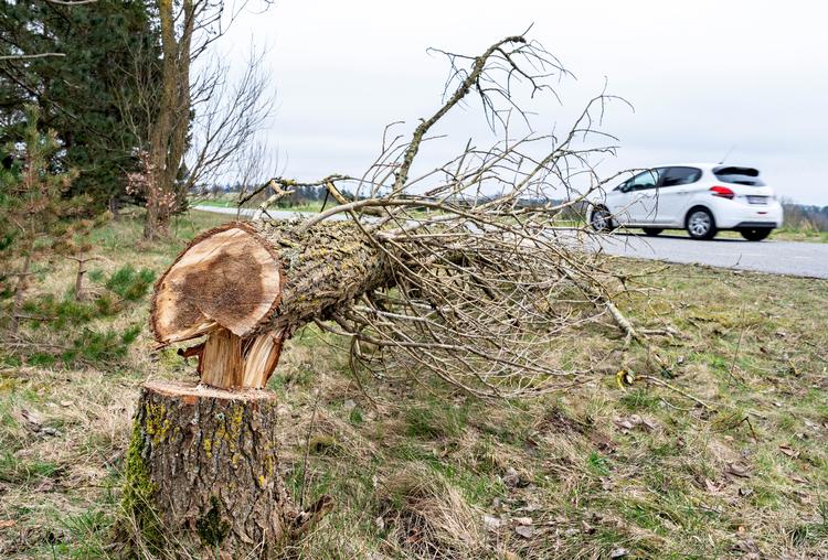 Foto: Henning Bagger/Ritzau Scanpix