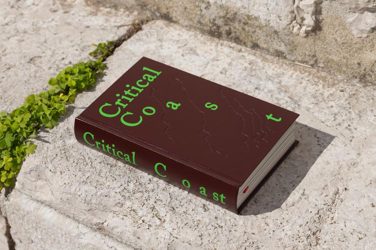'Critical Coast'  er enkel og behersket i sit umiddelbare udtryk, måske næsten gammeldags. Men bogens design har vundet guld - og det er der god grund til, mener Felix Rothstein. Foto: Alexis Mark/Alexis Mark