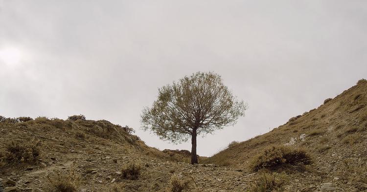 Bittersødt. I videoen 'Sweet and Sour' fra 2022 vil Hrair Sarkissian blandt andet fortælle om det armenske folkedrab, når han besøger sine forfædres landsby i en del af Armenien, der i dag er en del af Tyrkiet.  Foto: Hrair Sarkassian