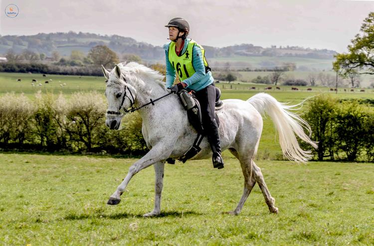 Janne Teller er her fotograferet, da hun deltog i  distancestævne i Shuckburgh, England med sin araberhest RM Magnums Javannah. Foto: Privatfoto