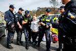 Greta Thunberg bliver tilbageholdt af hollandsk politi.  Foto: Ramon Van Flymen/Ritzau Scanpix
