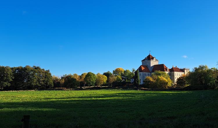 Gjorslev Gods ligger på det nordlige Stevns. Nu er stedet blevet beskrevet i en artikel i The New York Times. Foto: Matilde Skytte Karlsen