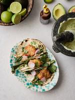 Foto: Anders Schønnemann