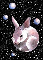 Indgangen til The Rabbit Hole sker gennem en grotte, hvor en tunnel leder de besøgende til museets hovedetage Arkivtegning Anne-Marie Steen Petersen