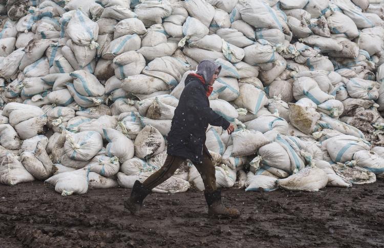 Folk ruster sig mod vandmasserne i Kasakhstan på grund af vandmasserne efter en ødelagt dæmning i det sydlige Rusland. Foto: Turar Kazangapov/Ritzau Scanpix