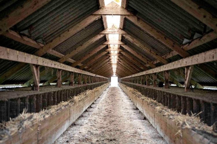 Har staten dækket et tag-selv-bord for grådige minkavlere? Foto: Marius Renner