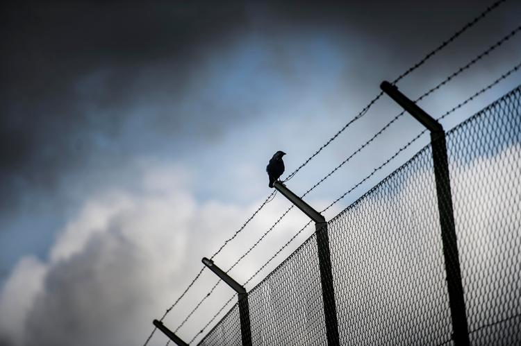 Et nyt lukket fængsel ventes at stå klart i 2030. Det er blevet besluttet, at fængslet skal opføres i Viborg Kommune, men den endelige placering er endnu ikke afgjort.  Foto: Tim Kildeborg Jensen/©Tim Kildeborg Jensen