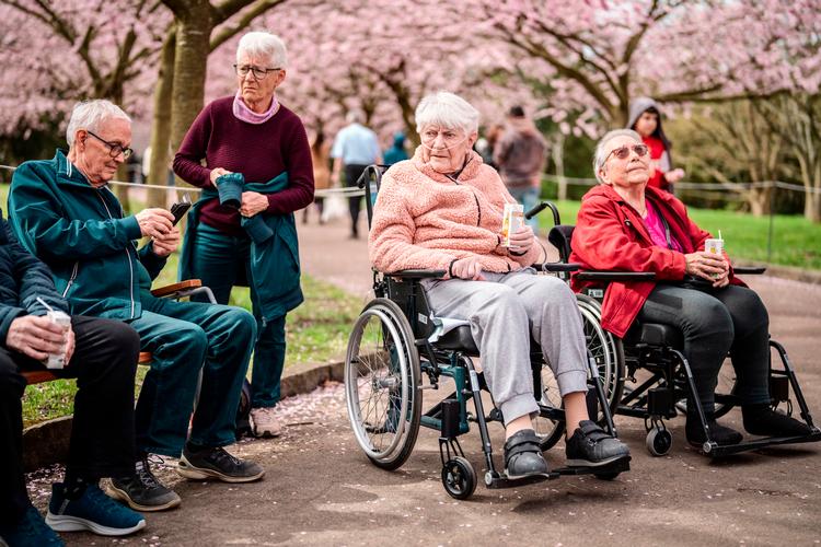 En ny ældrereform skal give mere selvbestemmelse for de ældre og sikre øget tillid til medarbejdere og ledelse i ældreplejen. Her besøger beboere fra Bomi-parken Plejehjem på Bispebjerg Kirkegård tidligere på måneden. Foto: Thomas Traasdahl/Ritzau Scanpix
