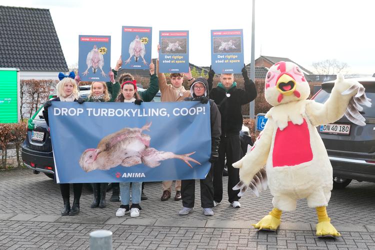 Demonstranter benyttede Coops landsråd i Middelfart til at forsøge at overtale detailhandelskæmpen  til at opgive turbokyllinger. Foto: Claus Fisker/Ritzau Scanpix