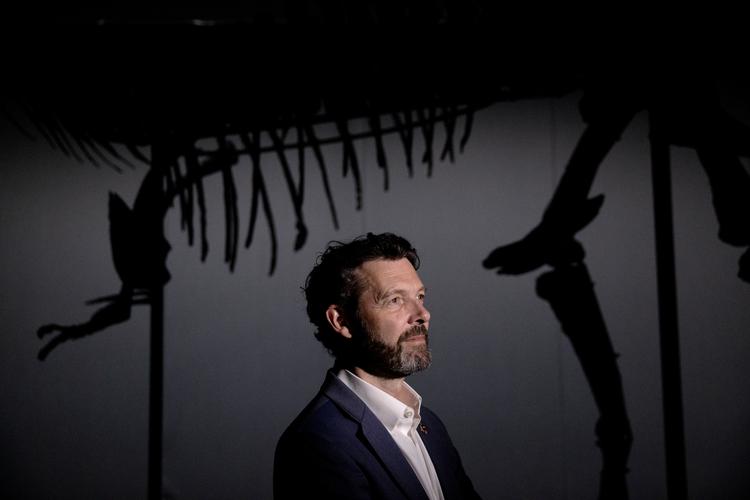 Peter C. Kjærgaard, direktør for Statens Naturhistoriske Museum, her fotograferet foran et af de store trækplastre på museet over de seneste år, det 66 millioner år gamle Tyrannosaurus rex-skelet med kælenavnet Tristan Otto.  Foto: Peter Hove Olesen