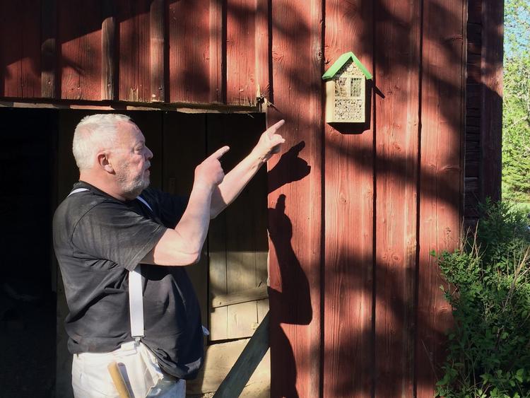 John Bredal fik kødallergi fra en flåt. Længe måtte han slet ikke spise kød fra firbenede dyr. En ven foreslog derfor, at han købte et halvt svin.   