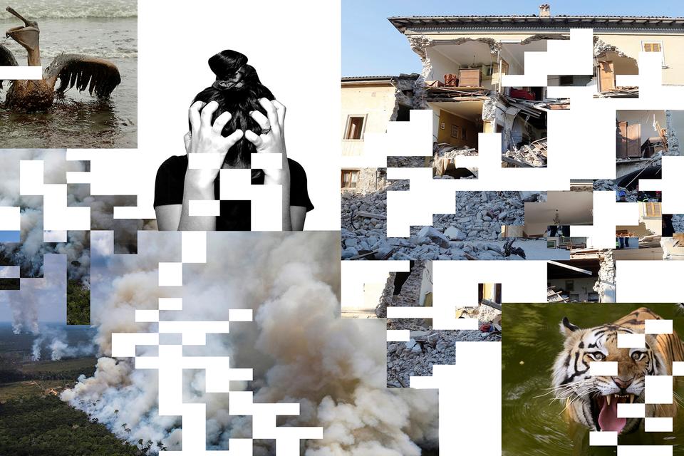 Charlie Riedel / Bruno Kelly / Ciro De Luca / Mahesh Kumar A/Ritzau Scanpix / Unsplash. Illustration: Caroline Niegaard