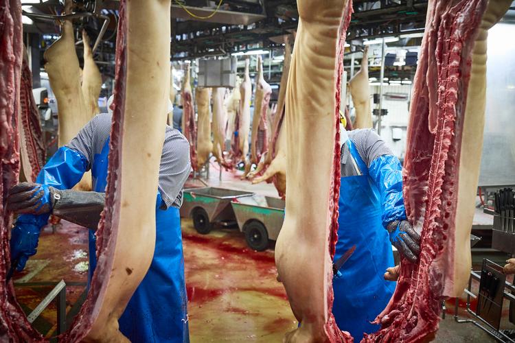 Indtil sidste år blev der slagtet svin på slagteriet i Sæby, men nu er slagteriet lukket. Siden er det også meldt ud, at slagteriet i Ringsted skal lukkes.   Foto: Claus Bjørn Larsen