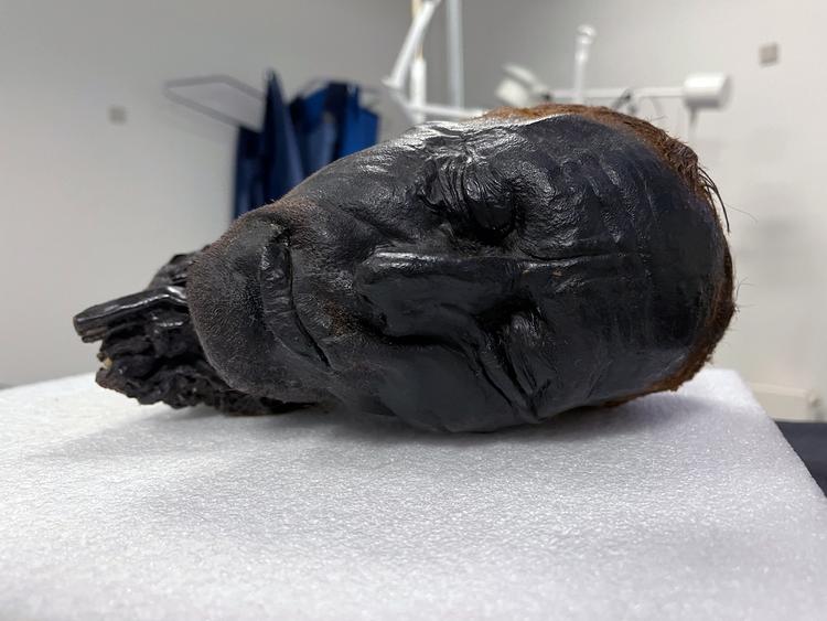 Foto: Foto: Aarhus Universitet og Museum Silkeborg