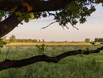vild natur1
