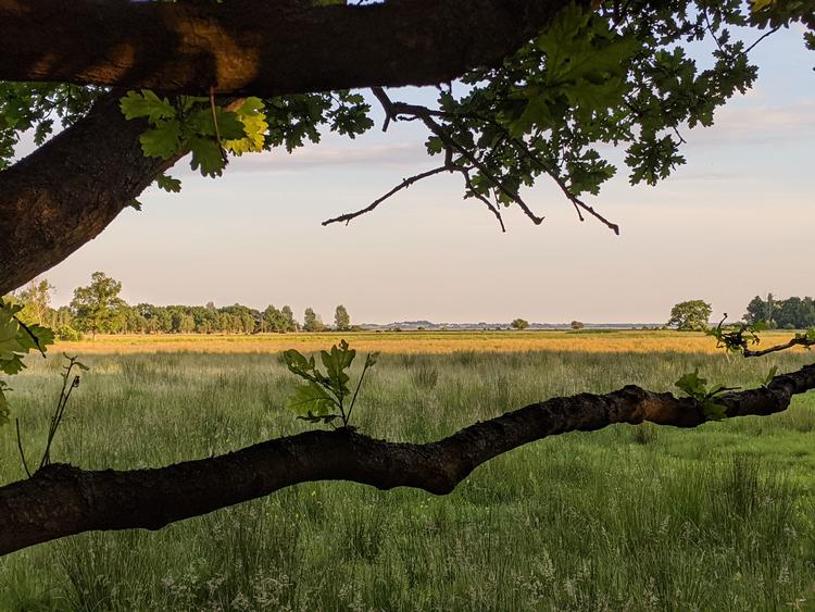 vild natur1