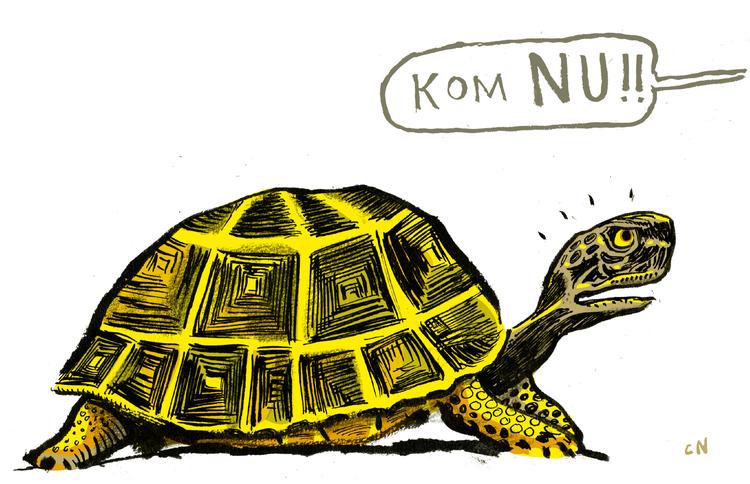 Tegning Claus Nørregaard