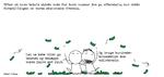 web_maren_2024-06-02