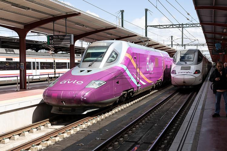 AVE bruges som fællesbetegnelse for de spanske højhastighedstog, men der er forskellige modeller. Det auberginefarvede er et AVLO, som er et af de nyeste. Fælles for højhastighedstogene er den lange aerodynamiske snude.  Foto: Karin Møller-Olsen