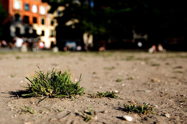 Arkivfoto. Foto: Finn Frandsen/Ritzau Scanpix