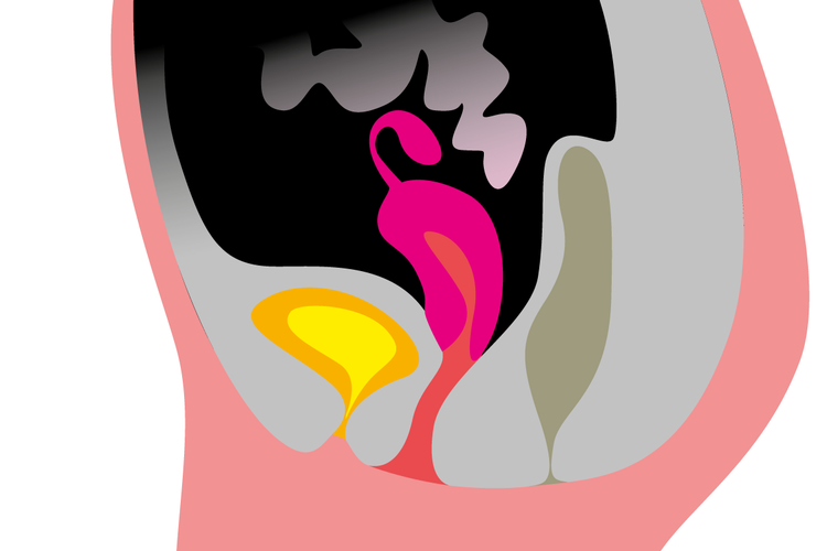 Illustration Jens Bjerrum Mørch