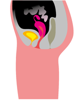 Illustration Jens Bjerrum Mørch