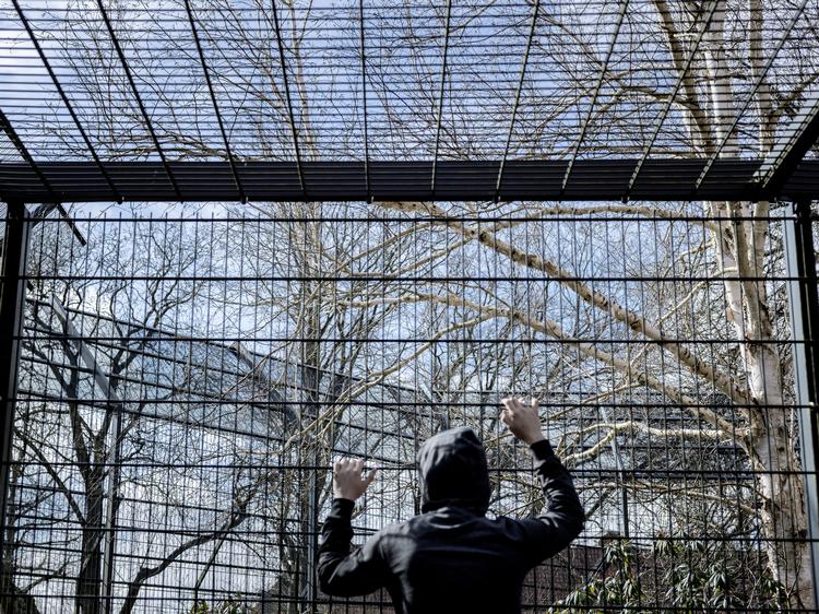 Politiken har skrevet indgående om forholdene på Bakkegården. Foto: Mads Nissen