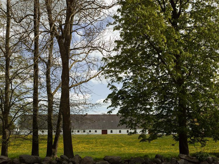 På Fuglsang Herregård, som skal rumme en af de tre kunstlader, ligger også kunstmuseet Fuglsang.  Foto: Anne Prytz Schaldemose