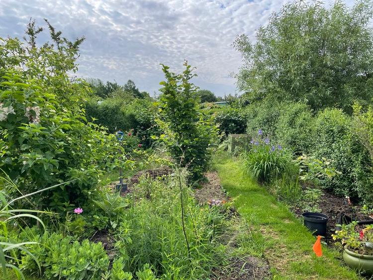 Foto: Lise Rønnebæk