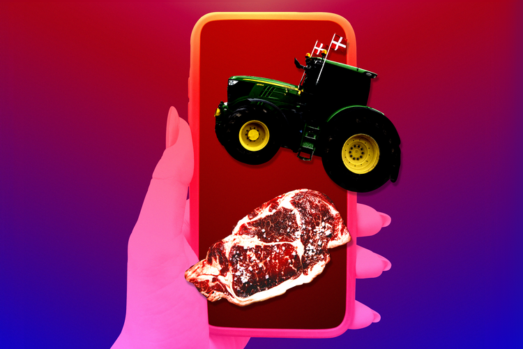 Foto: Annika Byrde / Unsplash. Illustration: Caroline Niegaard