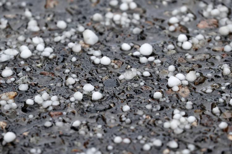 Arkivfoto Jens Dresling